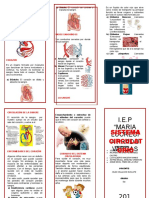 Sistema circulatorio: Estructura, funciones y cuidados del corazón