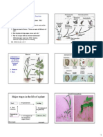 Plant Structure, Growth and Development