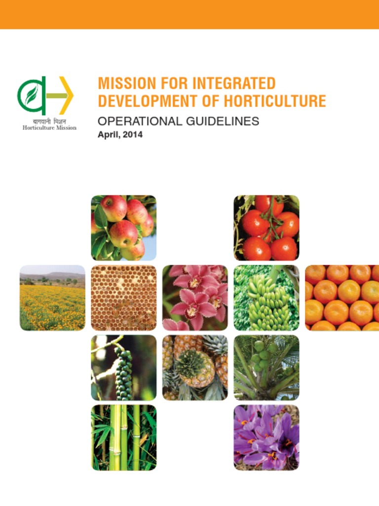 MIDH Operational Guidelines 2014 | PDF | Plant Nursery | Agriculture