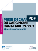 Prise en Charge Du Carcinome Canalaire in Situ – Questions d’Actualité – Rapport Intégral (Recommandations Et Référentiels)