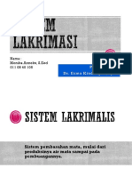 Sistem Lakrimasi