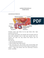 DETEKSI DINI TUMOR TESTIS