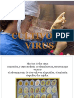 Cultivo de Virus