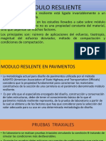 Modulo Resilente