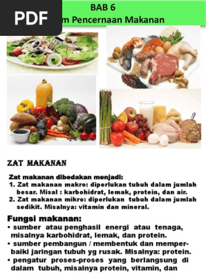 Penc Makanan Pd Manusia Lgkp Pdf