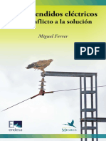 Aves y Tendidos Electricos, Del Conflicto a La Solucion