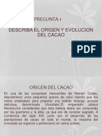 Origen y Evolucion Del Cacao