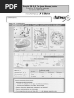 FichaCelula