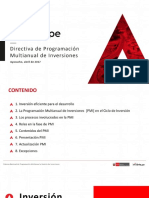 Directiva de Prog. Multianual de Inversiones