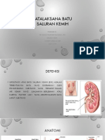 359528837-PPt-Urolithiasis.pptx