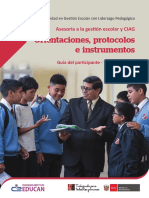 Asesoría Gestión-Orientaciones y Protocolos.pdf