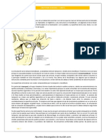 Wuolah Free CABEZA - PDF