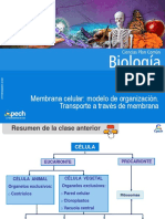 Clase 7 Membrana Celular Modelo de Organización.transporte A Través de Membrana