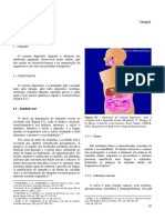 Sistema Digestório.pdf