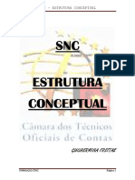 SNC - EstruturaConceptualDIS1409.pdf