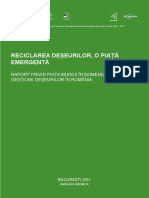 RaportReciclare.pdf