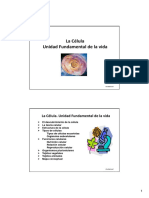 PDF Célula - 0 PDF