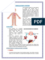 Circulatory System: Functions