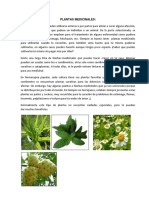 Plantas Medicinales