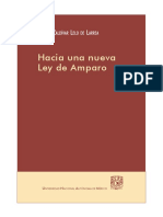 HACIA UNA NUEVA LEY DE AMPARO.pdf