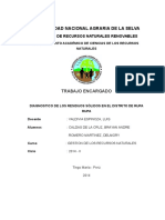 283763054-Informe-Del-PIGARS.pdf