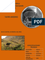 Tapir Andino Presentacion