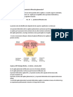 Pregunta 4 y 5 Renal