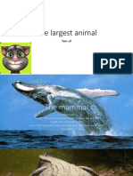 The Largest Animal