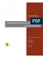 Avaliação de Riscos Ambientais e Ocupacionais PDF