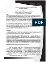 BSDG_20130103.pdf