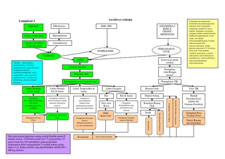 Pathway Stroke | PDF