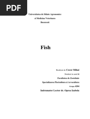 Fish