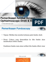 Fundus