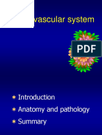 Cardiovascular Anatomy and Pathology Review