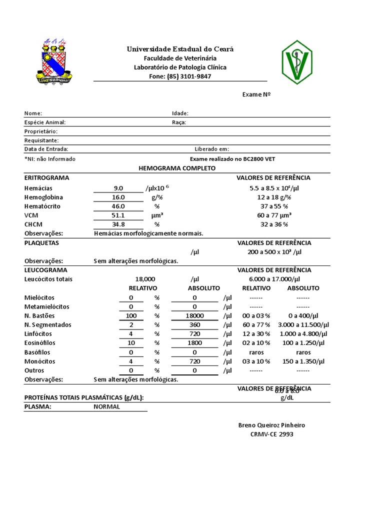 Modelo Hemograma | Fisiologia | Patologia Clínica