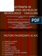 rgoterapia in Reabilitarea Sechelelor Neurologice Vasculare