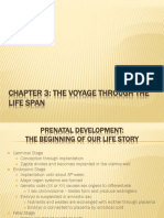 Chapter 3: The Voyage Through The Life Span