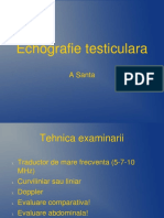 12 Echografie testiculara