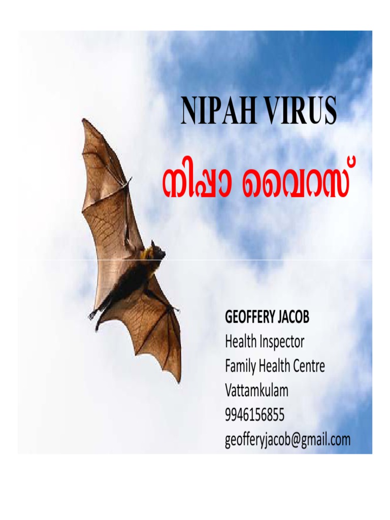 Nipah virus infection intelligence overview