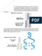 La Replicación Del ADN