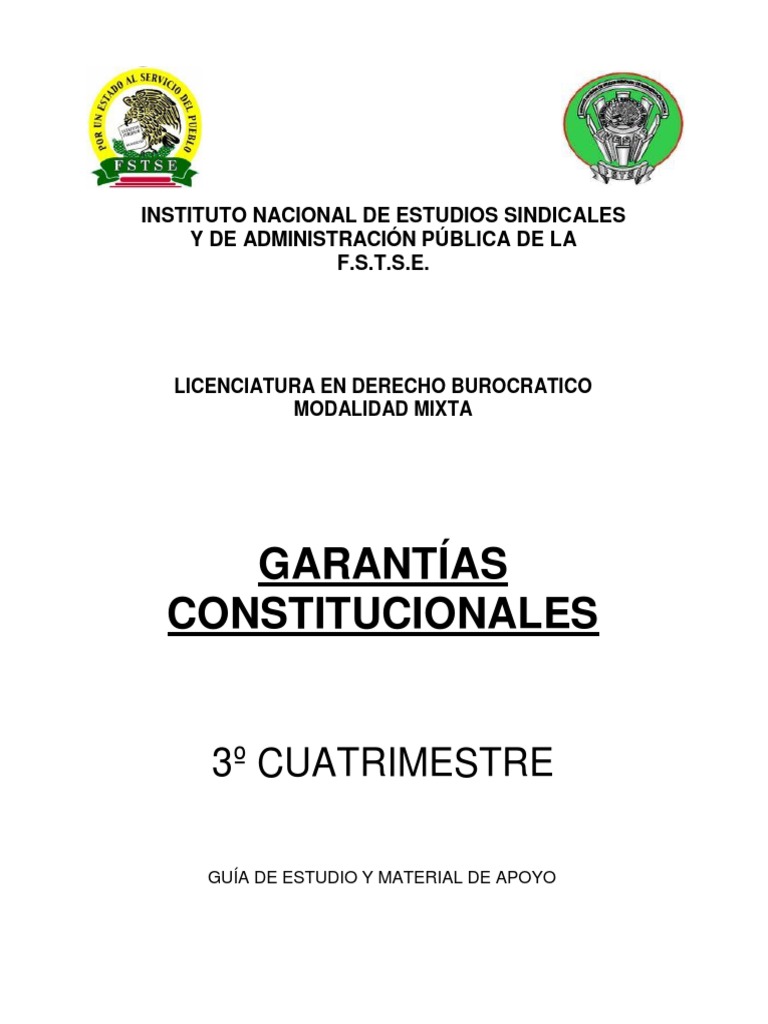 Estudio de Garantías Constitucionales | PDF | Derecho Constitucional ...