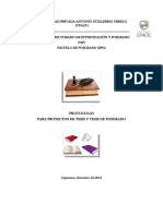 Protocolos para Proyectos de Tesis PDF
