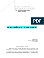 Analisis Burocracia