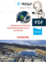 Geo Flotación