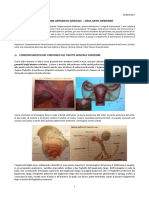 48-Anatomia-02.05.16-Conclusione apparato genitale e ossa arto inferiore.pdf