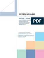 Cervicobraquialgias PDF