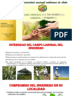 INGENIERÍA_FORESTAL_Y_AMBIENTAL___Proyeccion_universitaria[1].pptx