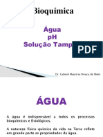 Bioquímica Aula 2 - Água, PH e Tampões