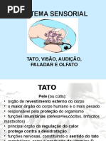 SISTEMA SENSORIAL