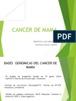 Cancer de Mama 